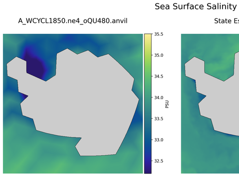 Antarctic Salinity